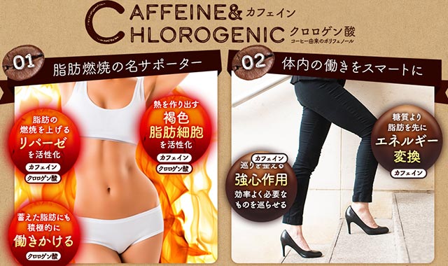 カフェテイン LP1