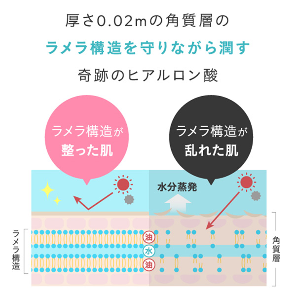 アオイココ(AoiCoco) ラメラ構造 成分